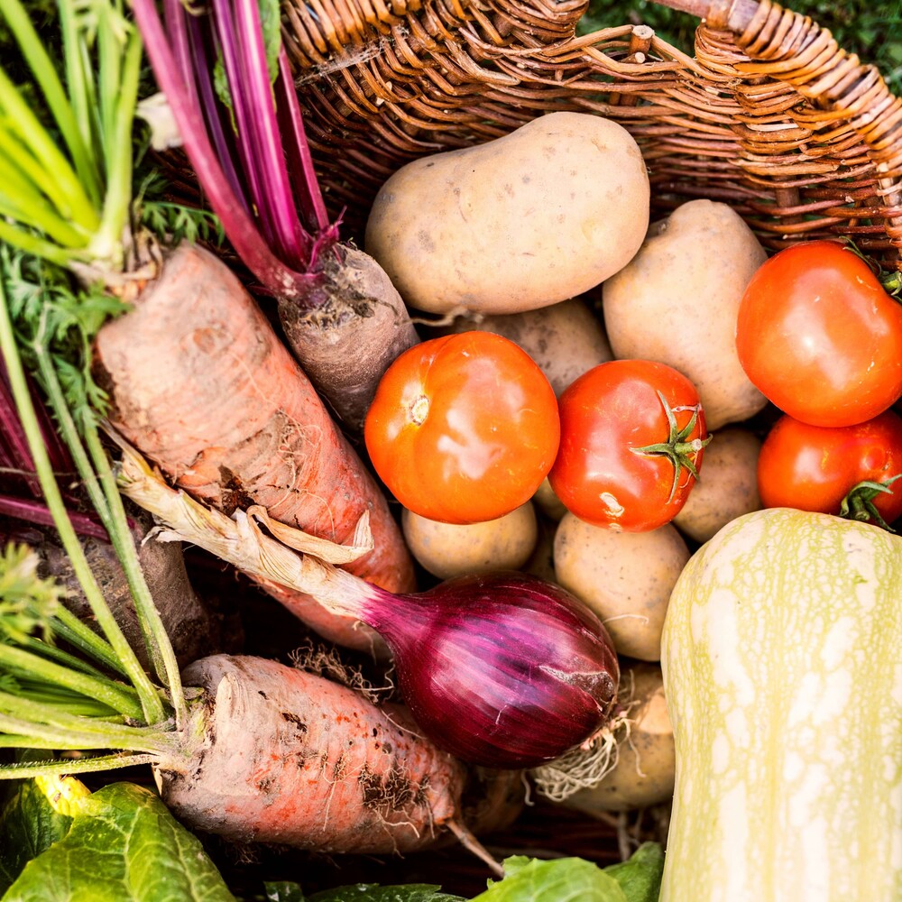 Vegane Ern&auml;hrung: Was sie leistet &ndash; und wo ihre Grenzen liegen